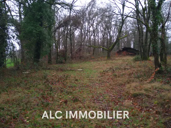 Rouperroux 61320 – Vente terrain