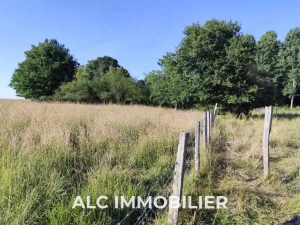 Maresché 72170 – Vente terrain