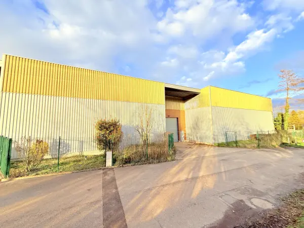 Ribeauville 68150 – Vente local