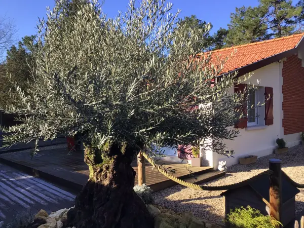 Soulac-sur-Mer 33780 – Vente maison/villa 4&nbsp;pièces 2&nbsp;chambres