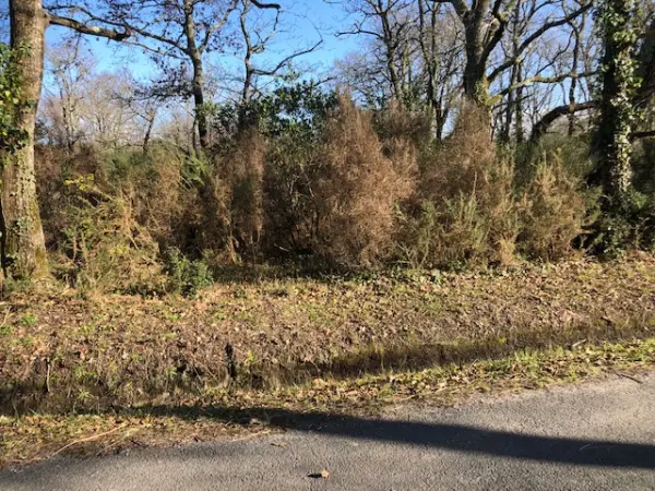 Grayan-et-l&rsquo;Hôpital 33590 – Vente terrain
