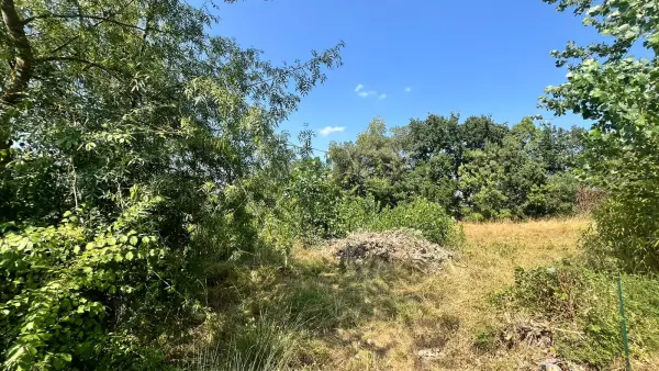 Caussade 82300 – Vente terrain