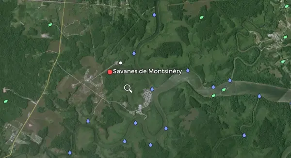 Montsinéry-Tonnegrande 97356 – Vente terrain