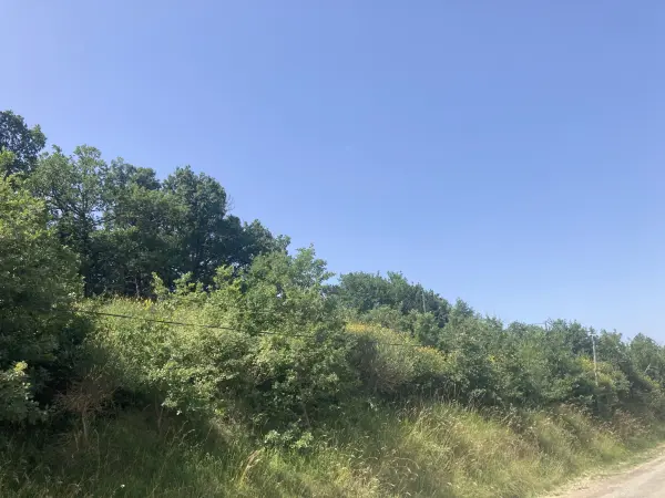 Donazac 11240 – Vente terrain 1&nbsp;pièce