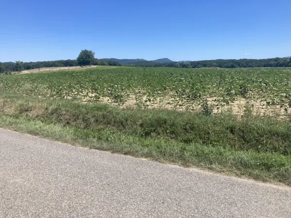 Léran 09600 – Vente terrain