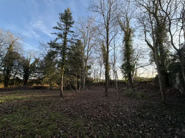 Jouy-lès-Reims 51390 – Vente terrain