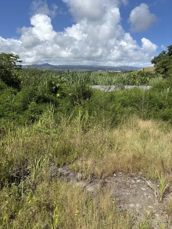 Sainte-Suzanne 97441 – Vente terrain
