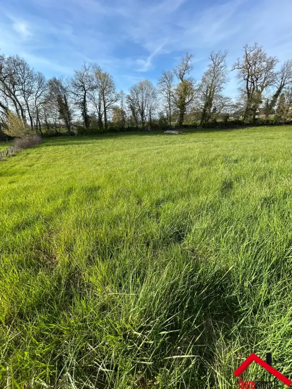 Saint-Viance 19240 – Vente terrain