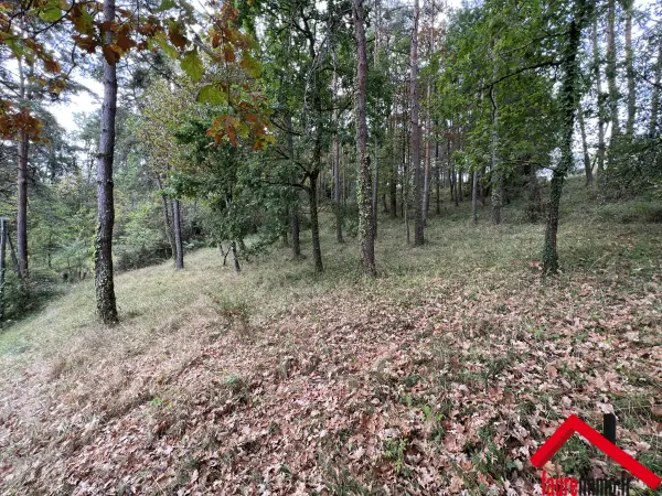 Brive-la-Gaillarde 19100 – Vente terrain