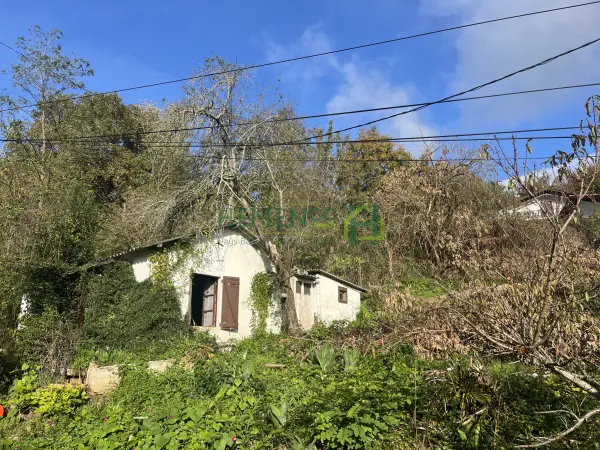 Ispoure 64220 – Vente terrain