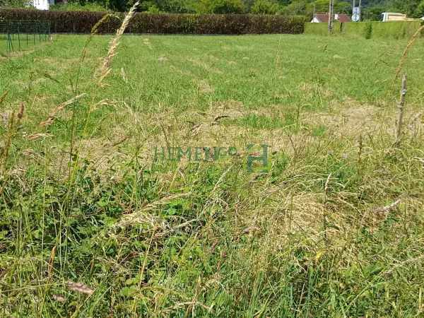 Espès-Undurein 64130 – Vente terrain
