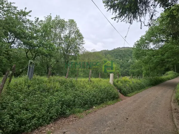 Saint-Jean-le-Vieux 64220 – Vente terrain