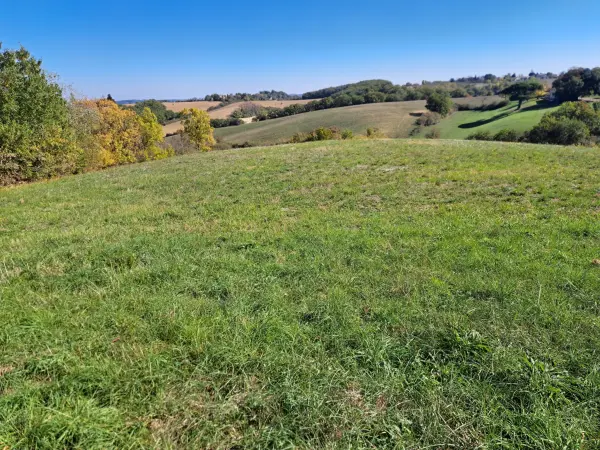 Auch 32000 – Vente terrain