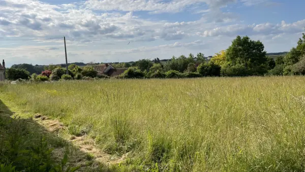 Coussay-les-Bois 86270 – Vente terrain