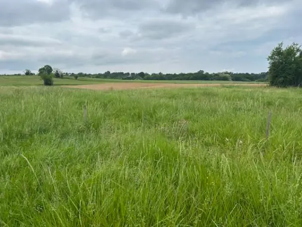 Baigneaux 33760 – Vente terrain