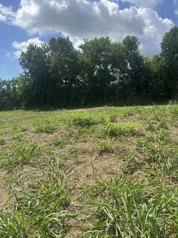 Saint-Denis 97400 – Vente terrain