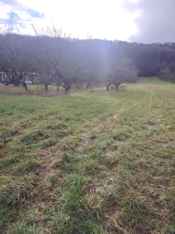 Ronvaux 55160 – Vente terrain