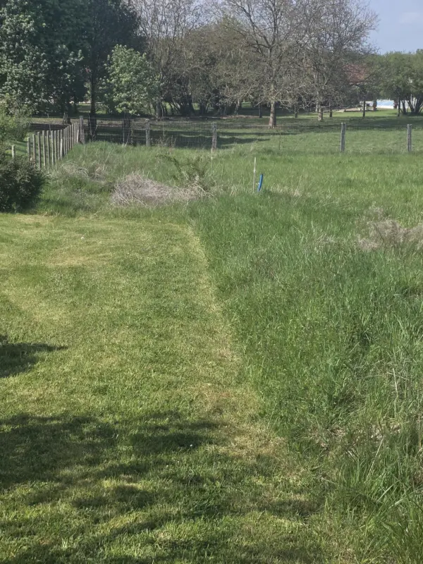 Vigneulles-lès-Hattonchâtel 55210 – Vente terrain