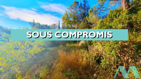 Signes 83870 – Vente terrain