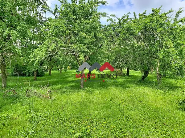 Scharrachbergheim-Irmstett 67310 – Vente terrain