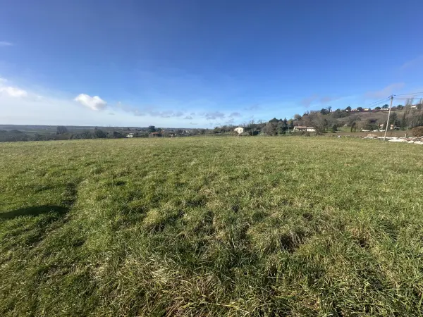 Mongauzy 33190 – Vente terrain