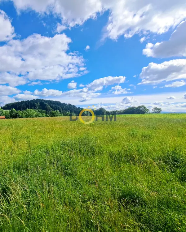 Sainte-Eugénie-de-Villeneuve 43230 – Vente terrain