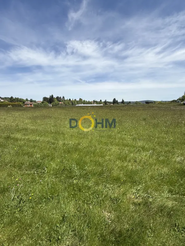 Saint-Pal-de-Mons 43620 – Vente terrain
