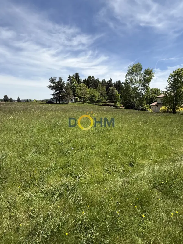 Saint-Pal-de-Mons 43620 – Vente terrain