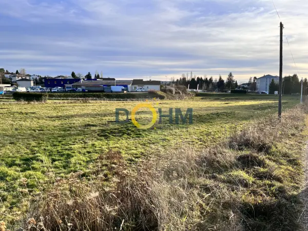 Sainte-Sigolène 43600 – Vente terrain
