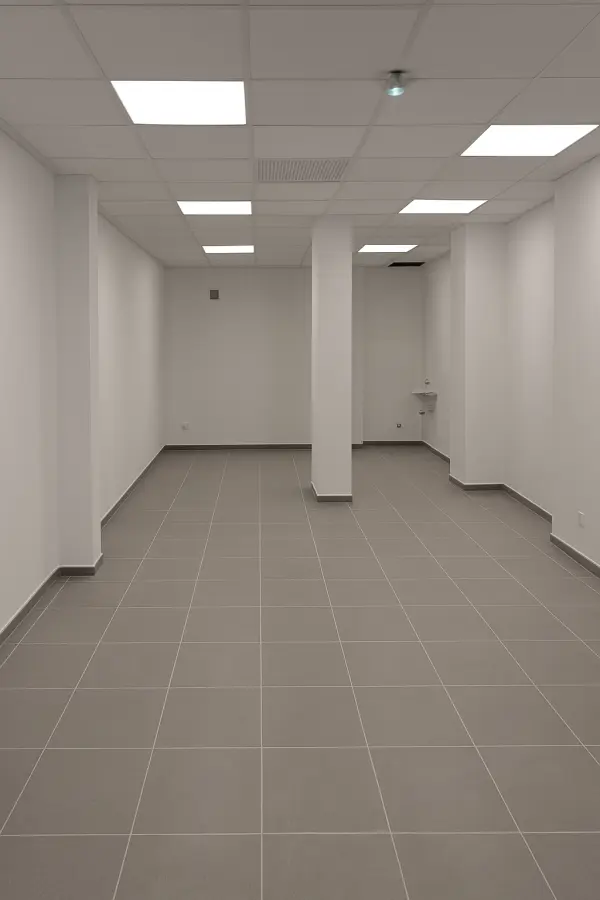 Pointe-à-Pitre 97110 – Location local