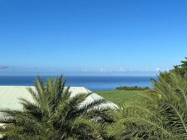 Saint-Claude 97120 – Location appartement 3&nbsp;pièces 2&nbsp;chambres