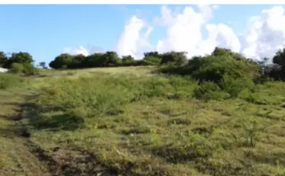 Sainte anne 97180 – Vente terrain