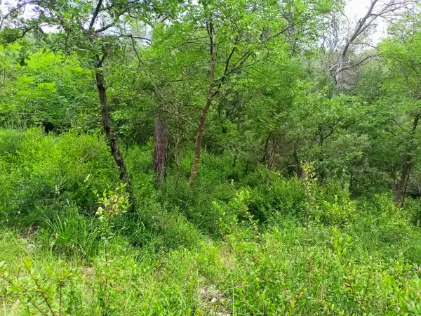 Roquefort-les-Pins 06330 – Vente terrain