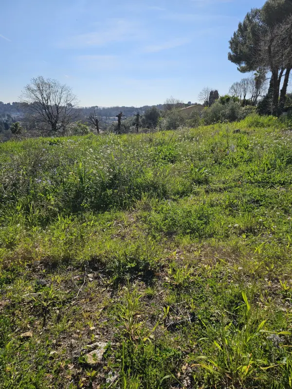 Valbonne 06560 – Vente terrain 1&nbsp;pièce