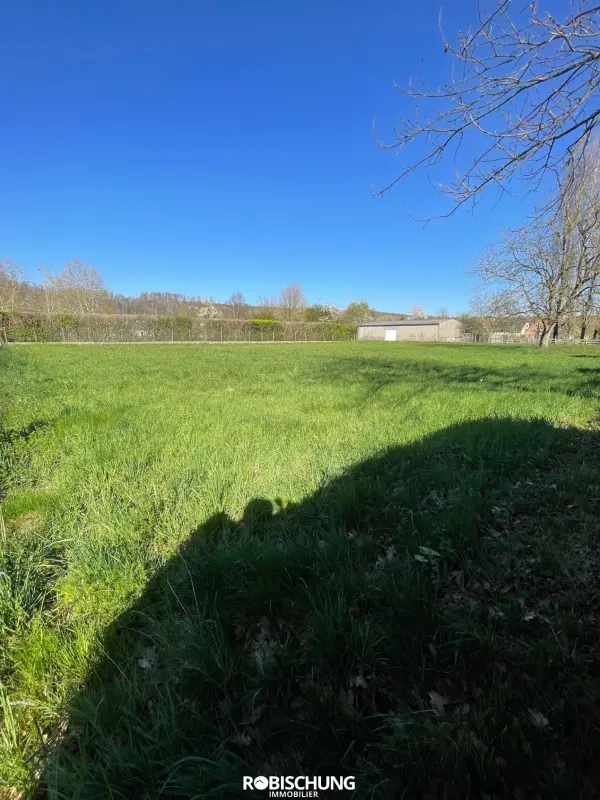Hirtzbach 68118 – Vente terrain
