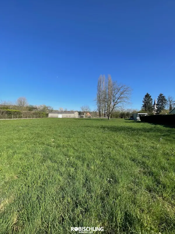 Hirtzbach 68118 – Vente terrain