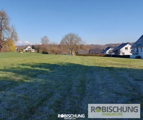 Hirsingue 68560 – Vente terrain