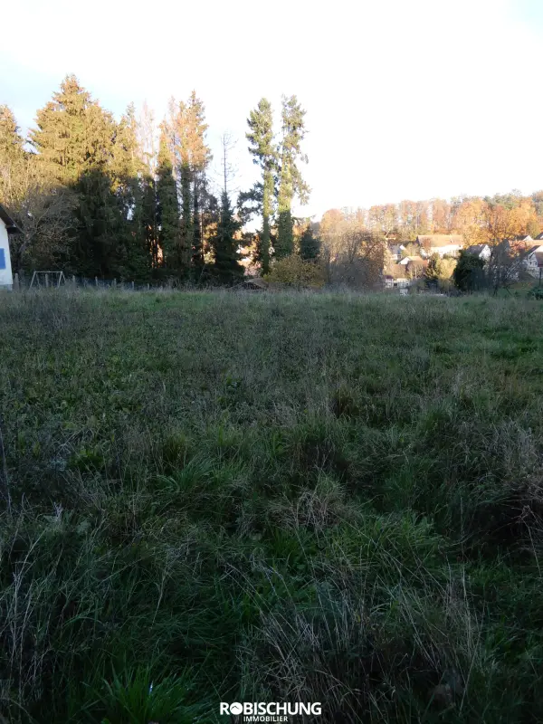 Riespach 68640 – Vente terrain