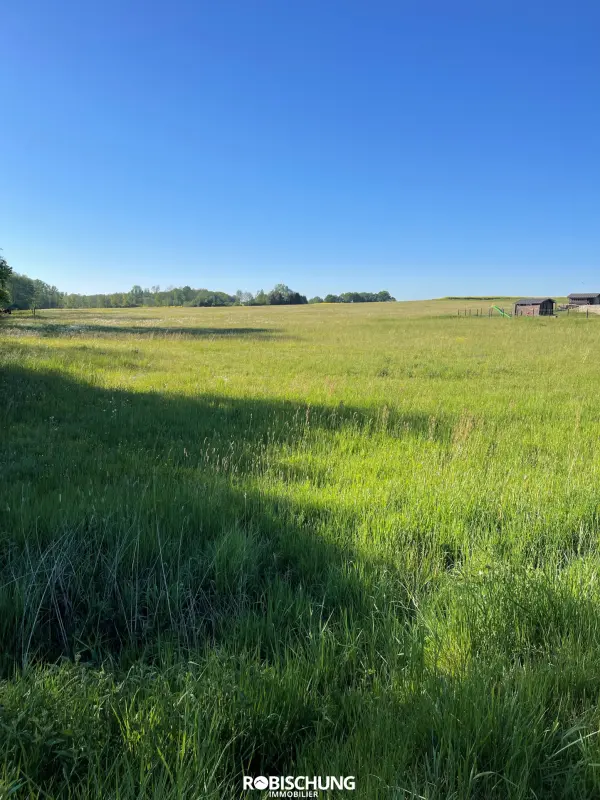 Magny 68210 – Vente terrain
