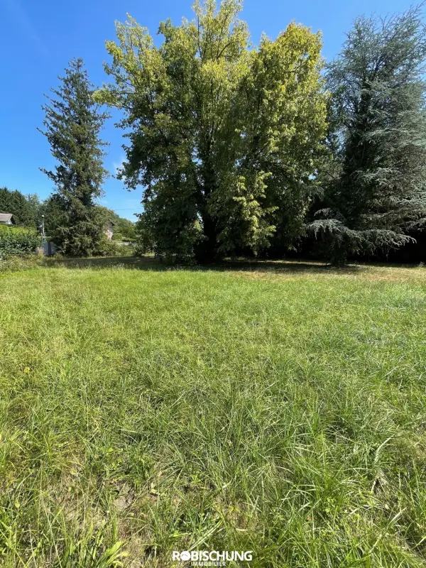 Dannemarie 68210 – Vente terrain