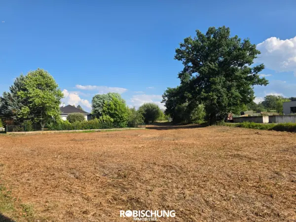 Hausgauen 68130 – Vente terrain