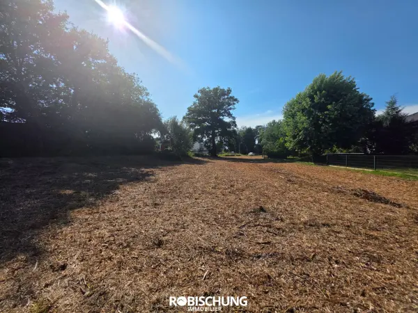 Hausgauen 68130 – Vente terrain