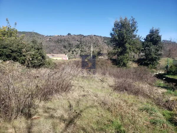 Saint-Fortunat-sur-Eyrieux 07360 – Vente terrain