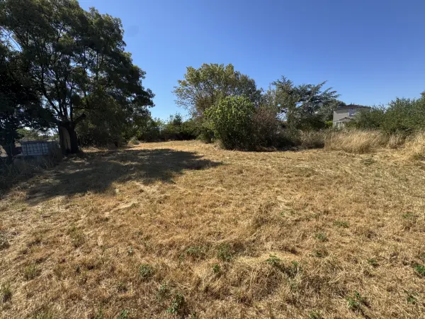Sémalens 81570 – Vente terrain