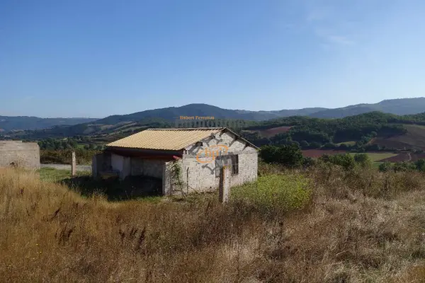 Vabres-l&rsquo;Abbaye 12400 – Vente maison/villa 1&nbsp;pièce 1&nbsp;chambre