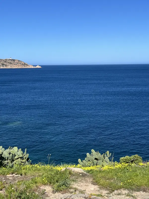Calvi 20260 – Vente maison/villa 4&nbsp;pièces 3&nbsp;chambres