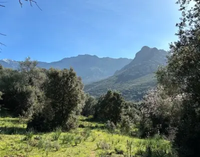 Calenzana 20214 – Vente terrain