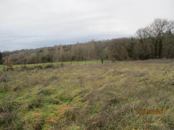 Valence-en-poitou 86700 – Vente terrain