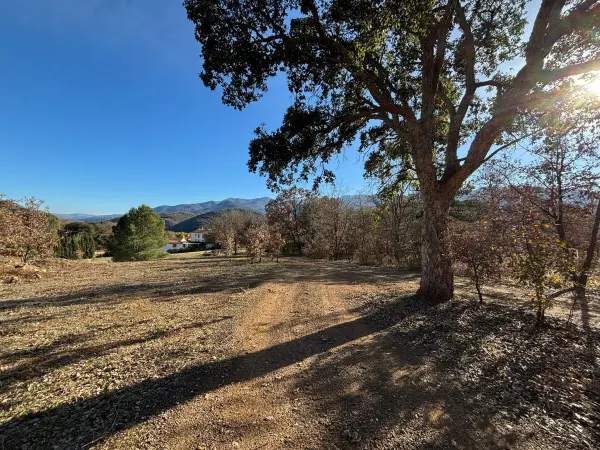 Reynès 66400 – Vente terrain