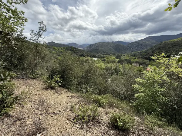 Reynès 66400 – Vente terrain